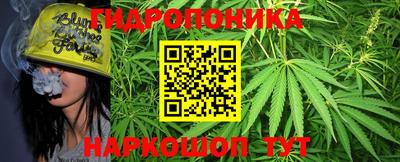 тгк Можга