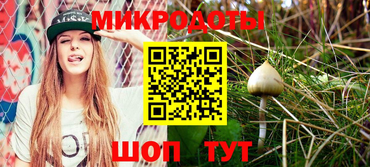 Псилоцибиновые грибы Magic Shrooms  Псилоцибиновые грибы Magic Shrooms  Вход с VPN  Электрогорск 